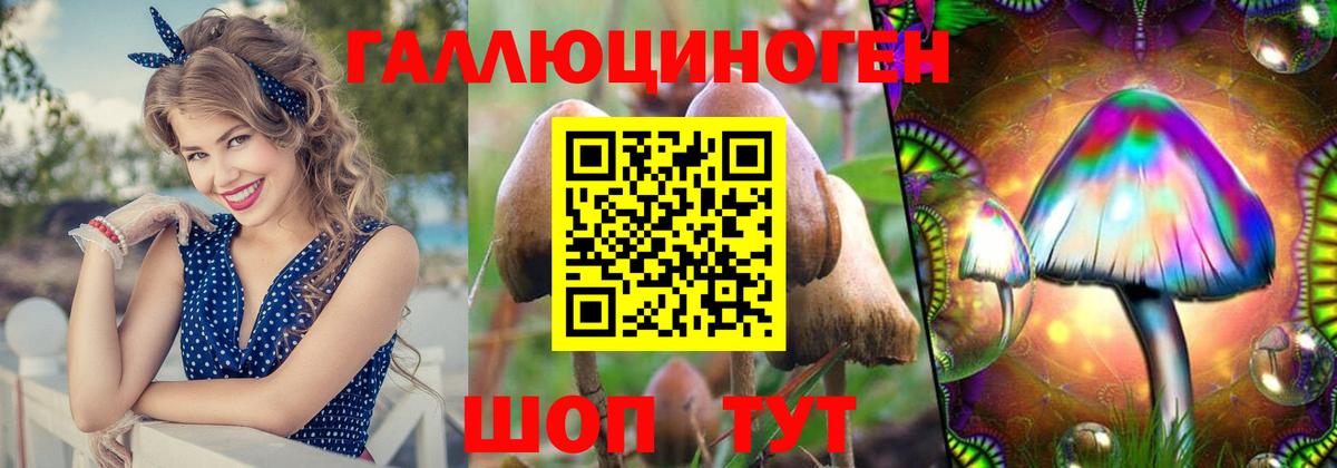 Псилоцибиновые грибы Cubensis  Вход с VPN  Орёл  Галлюциногенные грибы Magic Shrooms 